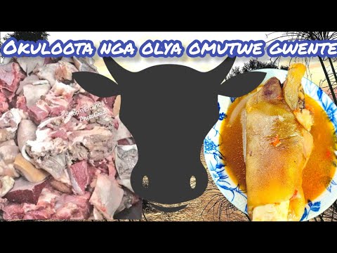 Okulota nga olya omutwe gwente kitegeeza ki? - Omulangira Omuchwezi