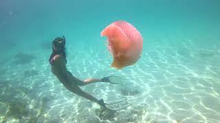 No.4 Myanmar Island of the Mergui Archipelago McKenzie Nyaung Oo Phee Island