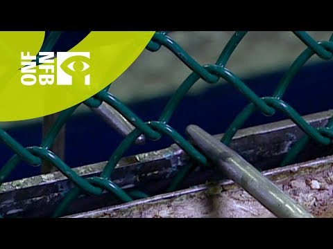 YouTube video about: Can you recycle chain link fences?