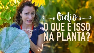 Miniatura do vídeo