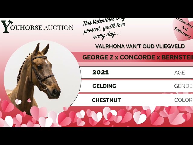 Valrhona van’t Oud Vliegveld homevideo