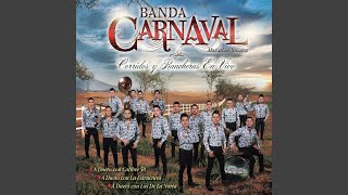 Panchito F1 (En Vivo)