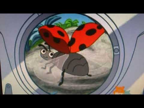 Find a Blue Butterfly - Go, Diego, Go