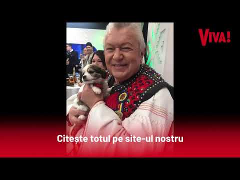 Ducu Bertzi îi dă replica lui Gheorghe Turda, după ce acesta l-a acuzat că i-a furat piesele