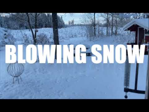 Pavel Svimba - Blowing Snow ( full live set GOAGOAGOA online festival belgium)