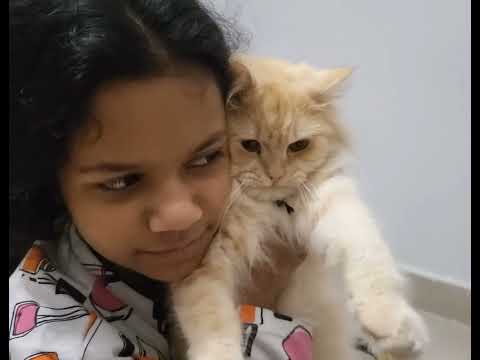 Midas ka sparsh # motivation 