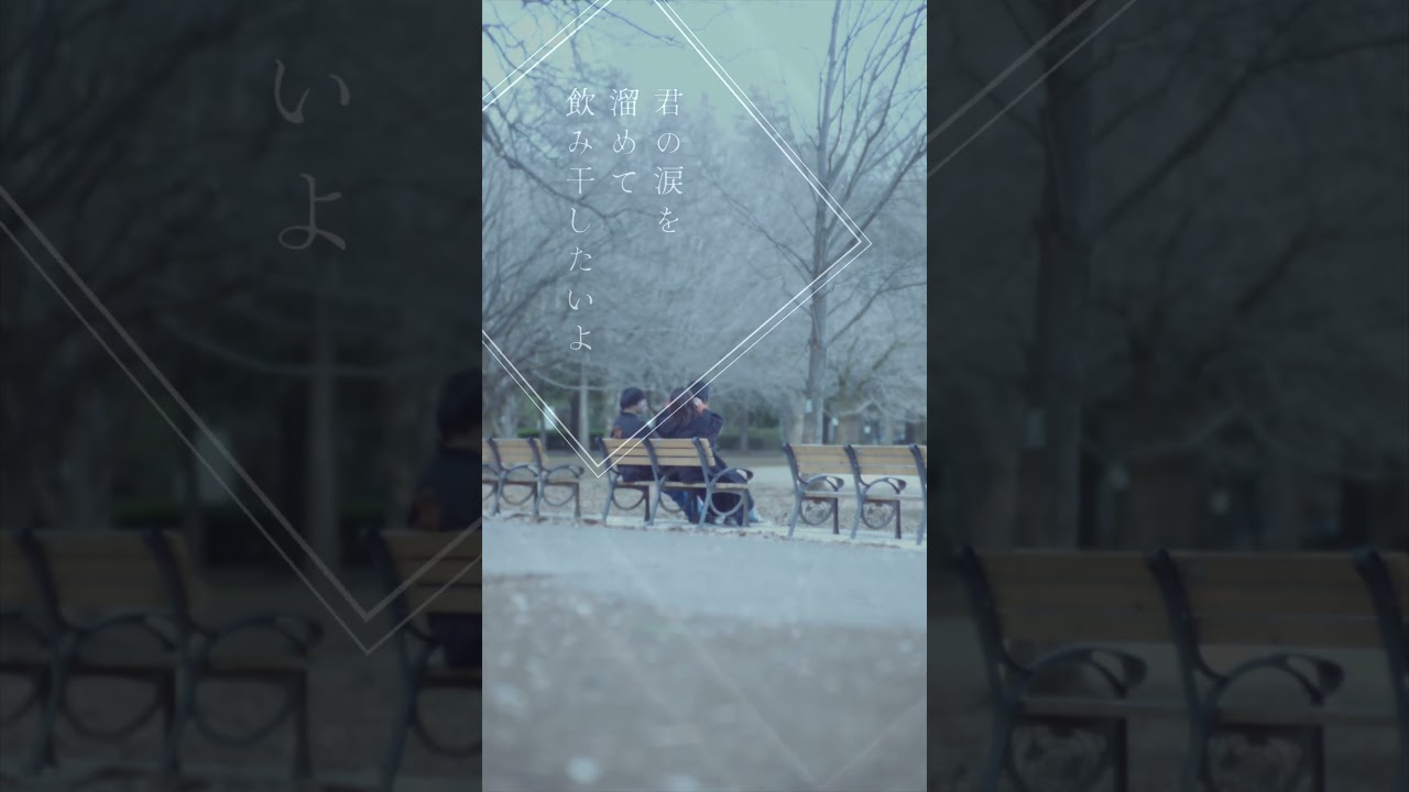 あたらよ - 春となり (SNS ラスサビ ver,) #春となり #僕ヤバ # #あたらよ #atarayo #可惜夜