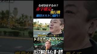 飛ばす度に赤字の飛行機
