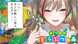 ■ 開始 - 【どうぶつの森】新しい住人、そろそろ来るか!?【来栖夏芽/にじさんじ】