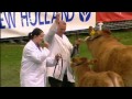 Y Sioe S4C