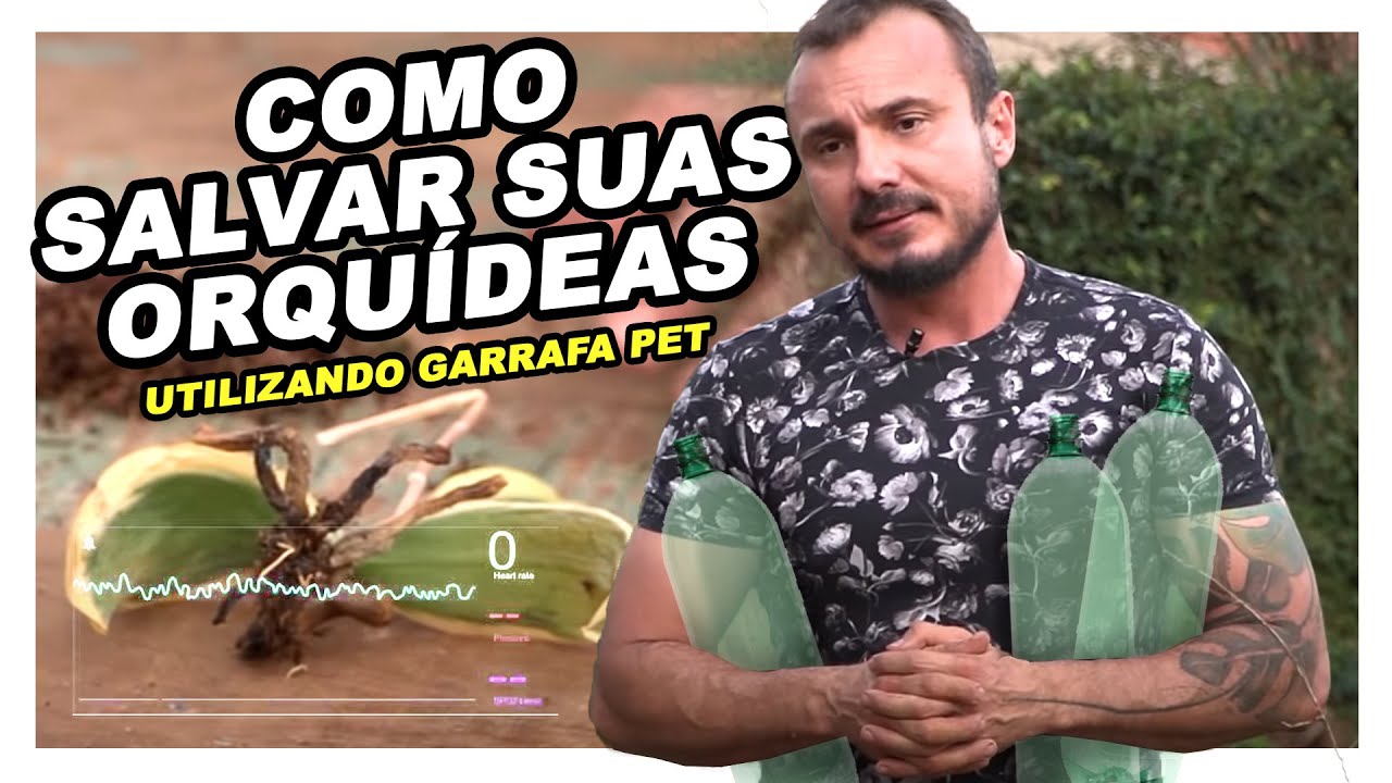 Como SALVAR suas ORQUÍDEAS utilizando Garrafa Pet