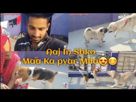 Mummy ne Kiya Sabko  pyaar 😊😍 Fir Sahiba Hui Naraj 😃😅 #viralvideo  #familyvlog #trending1