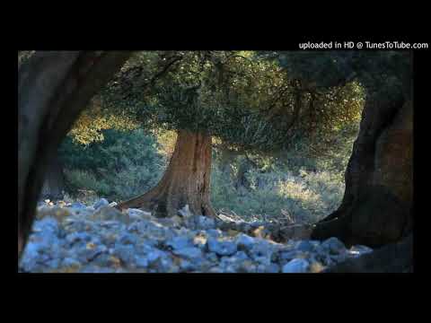 Kazimir Mikašek   Kazo   Ravnica, krš i maslina