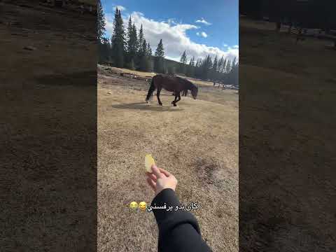 لو رفسني شو يصير #مستو #abodpubg