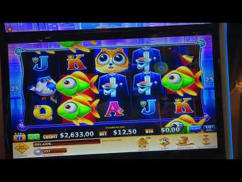 Fat Cat Fat Fortuntes - Where are all the fishes? Pokies Slots Casino 2023