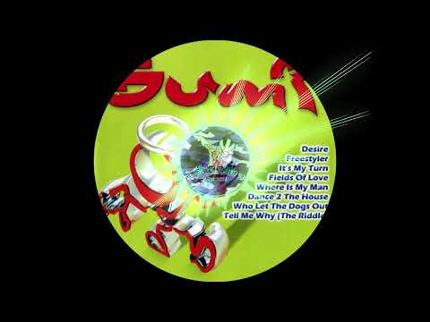 Bump Vol 7 - The Right Balance Random extended remix