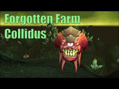 Make 18k to 54k Gold with Collidus the Warp-Watcher - Forgotten Farm Friday