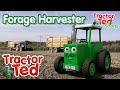 The Forage Harvester 🚜 | Tractor Ted Big Machines | Tractor Ted Official Channel #bigmachines