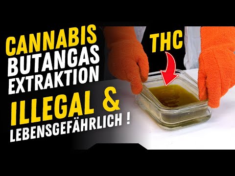 Cannabis Gas Extraktion mit Butan BHO : Das gefährlichste aber reinste THC Extrakt der Welt  95% THC