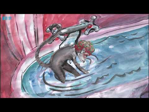 Popołudnie z książką #12 - Małpa