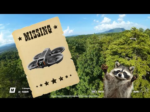 I Lost my Drone - DJI Avata 2