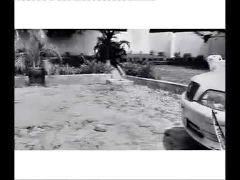 ABBY SKILLZ FEAT  MR BLUE    MOYO www DarTalk com