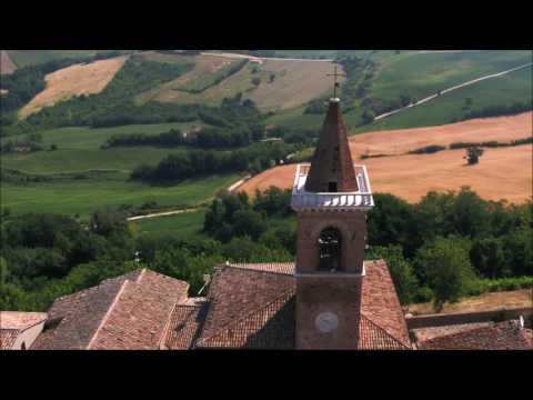 barchi - terre roveresche (Marche - Italia)