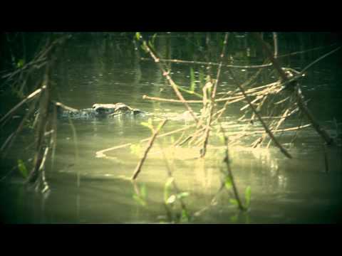 Priče s istoka 90 - Krokodili ubice - Subota 17:00