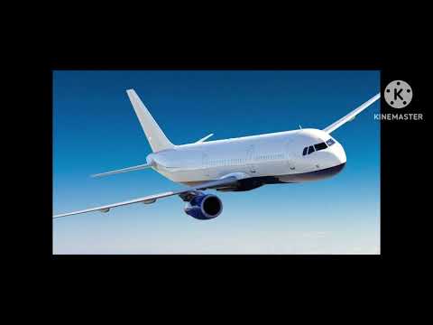 montage fait par angélique montage avion