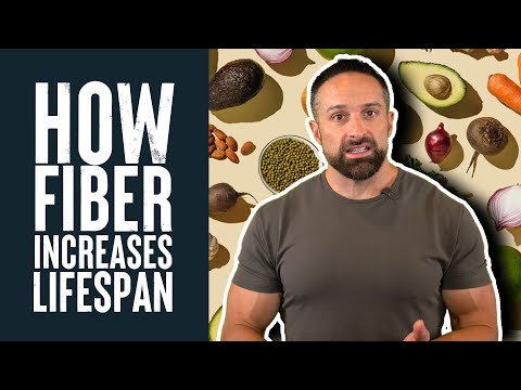 How Does Eating Fiber Help You Live Longer? | Educational Video | Dr. Layne Norton PhD