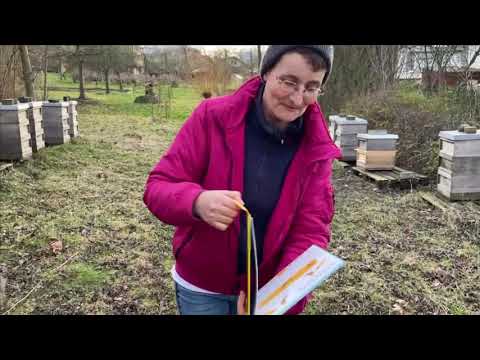 Bücherskorpion gefunden! - Jubiläumsausgabe - Live von Pias Bienenstand - 01.01.22