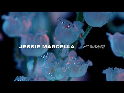 Jessie Marcella - Wings