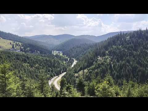 Drumul forestier Măguri - Mărișel, 9 august 2020