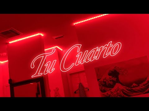 littlexmind - Tu Cuarto (Visualizer)