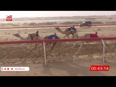  ش 21 (الصيرمي) لـ عبدالعظيم احمد علي 2:12 , شارة الصندوق 2026/03/21 فطامين الجبيب