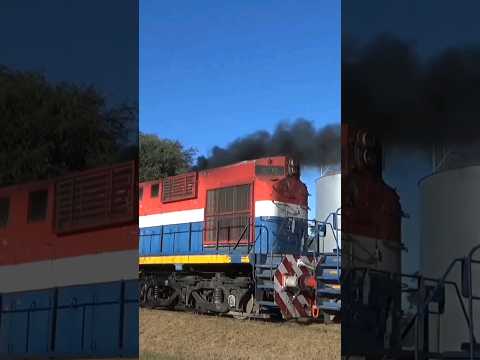 Simplemente ALCo 💨