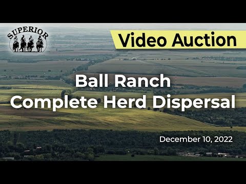 Ball Ranch Auction