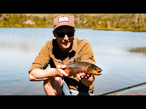 Tokilos ørret i Knotthøl