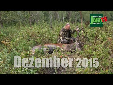 Kinder an die Jagd ranführen, Hirschjagd in Serbien, Schrotpatronenherstellung: DJZ-TV 12/2015