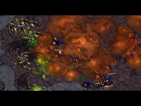 IdrA! Rain! Ample! Violet! Steal the Bacon! Reaction FFA! Chat! - StarCraft - Brood War! - 2025