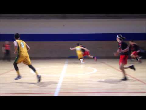 CroHoops Division II 2019/20 Rnd.5 - Marko Stipanovic (Downtown Assassins) Highlights