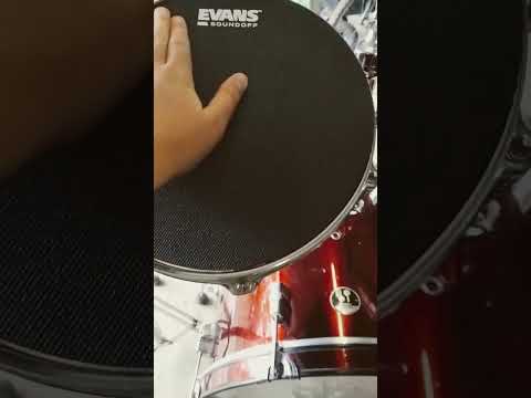 Evans soundoff drum mutes.