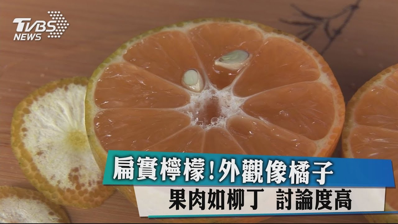 扁實檸檬！　外觀像橘子果肉如柳丁討論度高