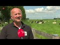 Kaasboerderij De Polderzoom viert vijftigjarig bestaan