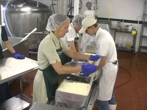 download lagu mp3 mp4 Buy Artisan Cheese Online, download lagu Buy Artisan Cheese Online gratis, unduh video klip Buy Artisan Cheese Online