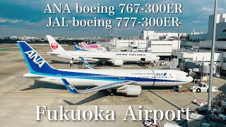 福岡空港✈️JALとANAの国際線機材が並びました(ANA JA625A JAL JA743J) Fukuoka Airport