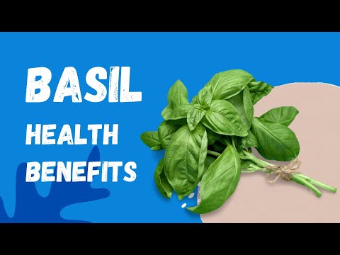 Tulsi holy basil tablets 1 kg, 500 mg, pouch