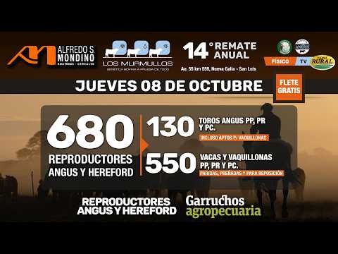 🔴EN VIVO | 14° REMATE ANUAL Cab.LOS MURMULLOS, desde Nueva Galia, SL | Alfredo S. Mondino, 8-10-26🔴