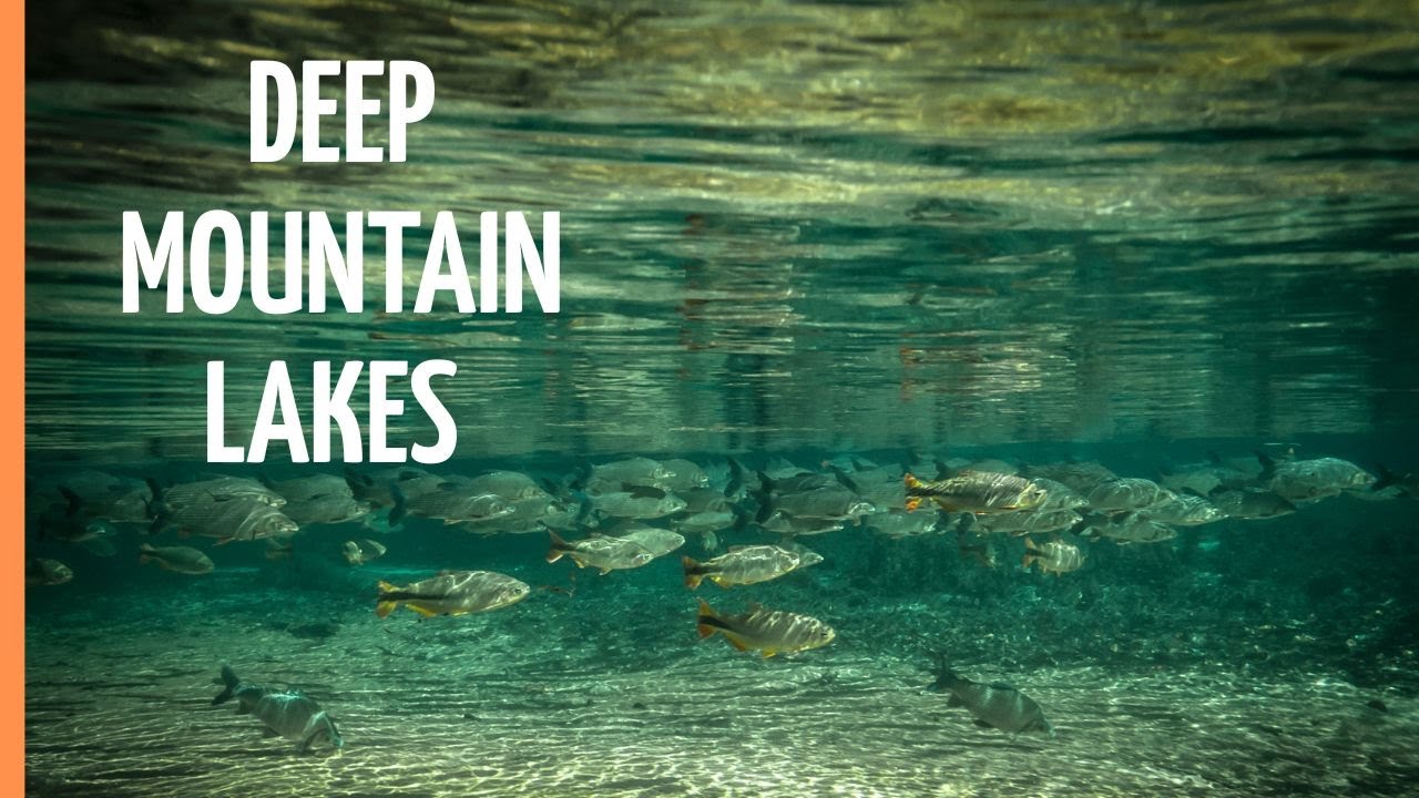 The Fascinating Wildlife in Deep Mountain Lakes | Full Documentary