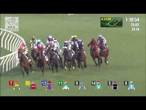 港經佬賽事重溫｜18-12-2021 田草日馬第十場賽事重溫 (270)｜確認眼神 Soulmate (D404)｜莫雷拉 J Moreira｜姚本輝 P F Yiu｜免費心水及賽馬貼士